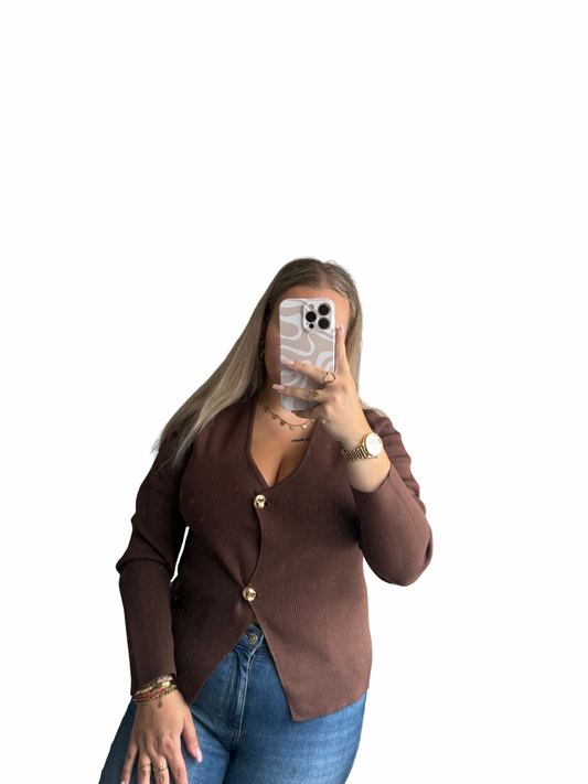 Sita Vest - Bruin